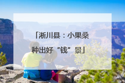 淅川县：小果桑种出好“钱”景