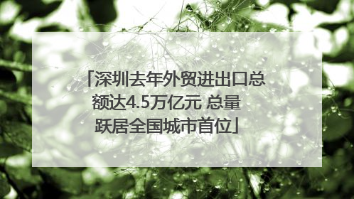 深圳去年外贸进出口总额达4.5万亿元 总量跃居全国城市首位