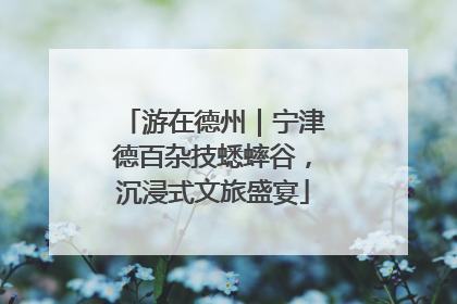 游在德州｜宁津德百杂技蟋蟀谷，沉浸式文旅盛宴