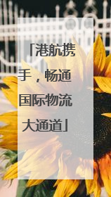 港航携手，畅通国际物流大通道