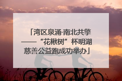 湾区泉涌·南北共擎——“花楸树”杯明湖慈善公益跑成功举办