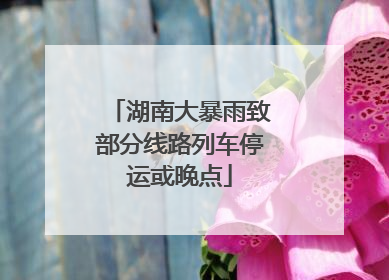 湖南大暴雨致部分线路列车停运或晚点