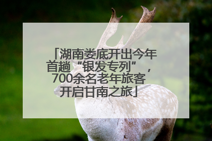 湖南娄底开出今年首趟“银发专列”，700余名老年旅客开启甘南之旅