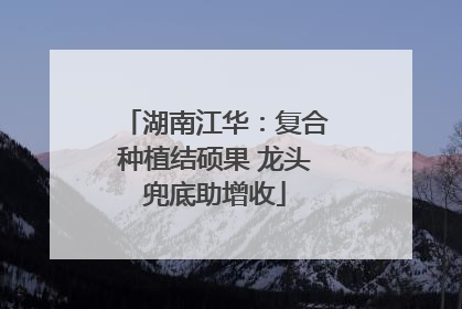 湖南江华：复合种植结硕果 龙头兜底助增收