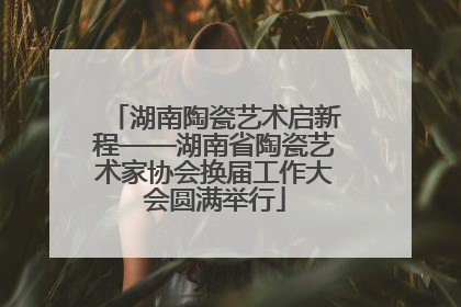 湖南陶瓷艺术启新程——湖南省陶瓷艺术家协会换届工作大会圆满举行