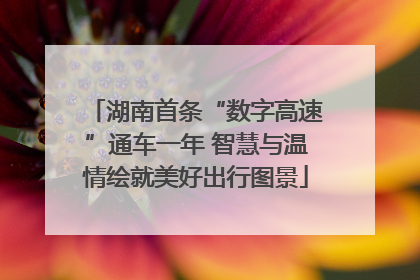 湖南首条“数字高速”通车一年 智慧与温情绘就美好出行图景