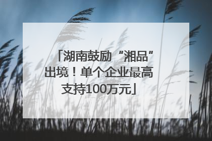 湖南鼓励“湘品”出境！单个企业最高支持100万元