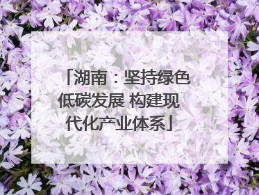 湖南：坚持绿色低碳发展 构建现代化产业体系