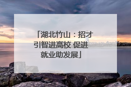 湖北竹山：招才引智进高校 促进就业助发展