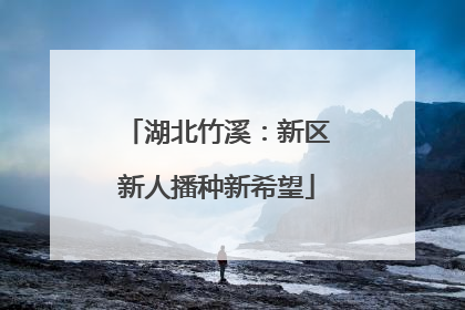 湖北竹溪：新区新人播种新希望