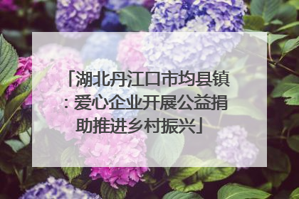 湖北丹江口市均县镇：爱心企业开展公益捐助推进乡村振兴