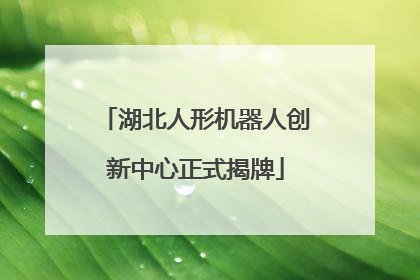 湖北人形机器人创新中心正式揭牌