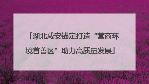 湖北咸安锚定打造“营商环境首善区”助力高质量发展