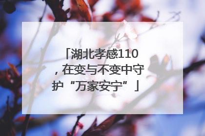 湖北孝感110，在变与不变中守护“万家安宁”
