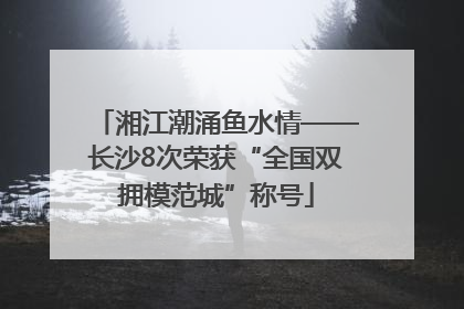 湘江潮涌鱼水情——长沙8次荣获“全国双拥模范城”称号