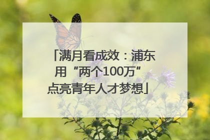 满月看成效：浦东用“两个100万”点亮青年人才梦想