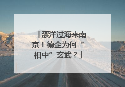 漂洋过海来南京！德企为何“相中”玄武？