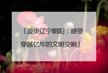 漫步辽宁朝阳：感受穿越亿年的文明交响