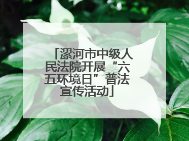 漯河市中级人民法院开展“六五环境日”普法宣传活动
