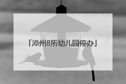 漳州8所幼儿园停办
