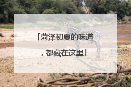 菏泽初夏的味道，都藏在这里