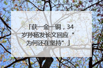 获一金一铜，34岁孙杨发长文回应“为何还在坚持”