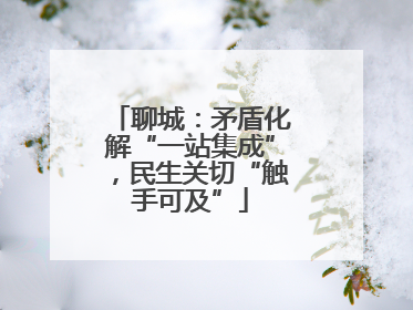 聊城：矛盾化解“一站集成”，民生关切“触手可及”