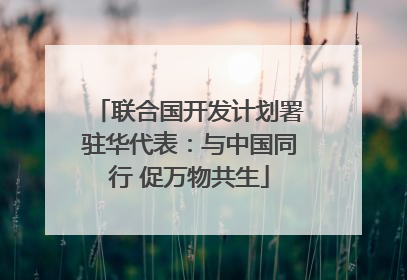 联合国开发计划署驻华代表：与中国同行 促万物共生