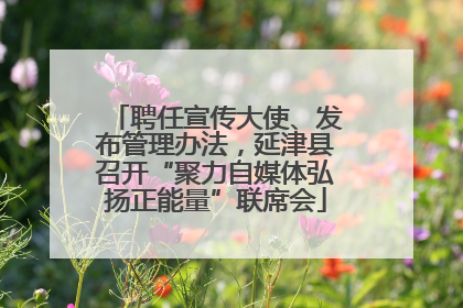 聘任宣传大使、发布管理办法，延津县召开“聚力自媒体弘扬正能量”联席会
