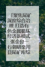 聚焦尾矿深度综合治理 打造有色金属循环经济新模式 张金良一行调研栾川县尾矿库综合治理工作