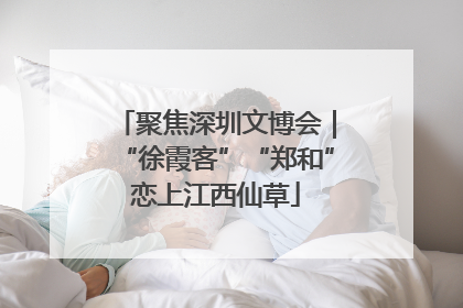 聚焦深圳文博会｜“徐霞客”“郑和”恋上江西仙草