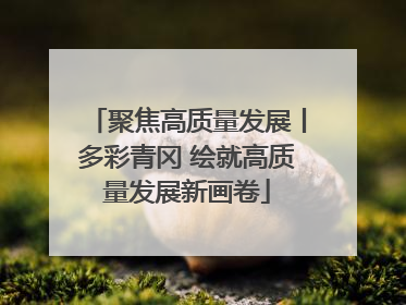 聚焦高质量发展丨多彩青冈 绘就高质量发展新画卷