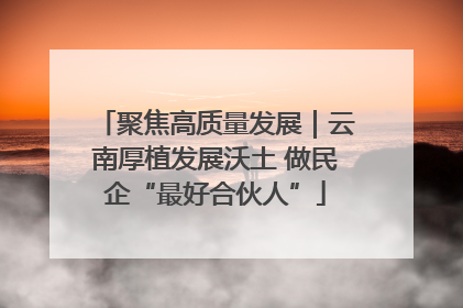 聚焦高质量发展｜云南厚植发展沃土 做民企“最好合伙人”