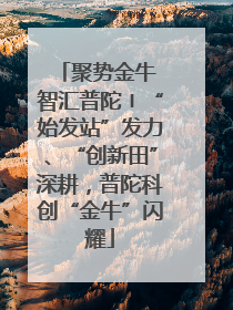 聚势金牛 智汇普陀〡“始发站”发力、“创新田”深耕，普陀科创“金牛”闪耀