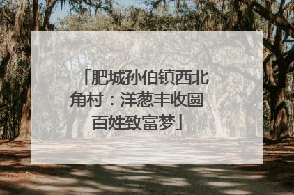 肥城孙伯镇西北角村：洋葱丰收圆百姓致富梦