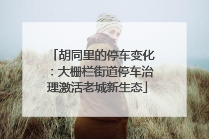 胡同里的停车变化：大栅栏街道停车治理激活老城新生态