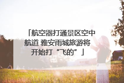 航空器打通景区空中航道 雅安雨城旅游将开始打“飞的”