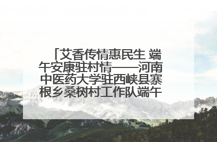 艾香传情惠民生 端午安康驻村情——河南中医药大学驻西峡县寨根乡桑树村工作队端午中医惠民记