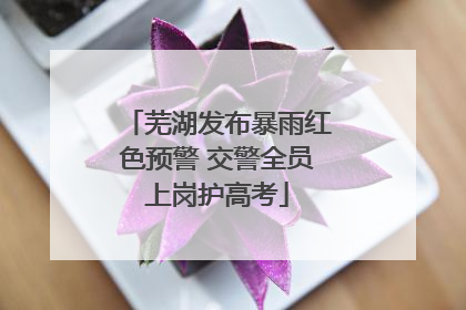 芜湖发布暴雨红色预警 交警全员上岗护高考