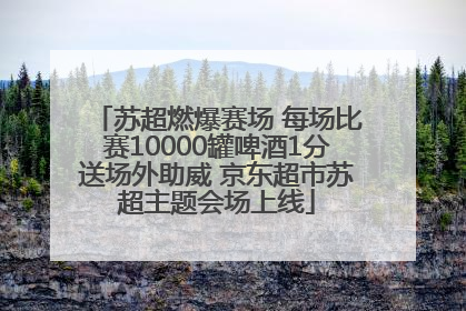 苏超燃爆赛场 每场比赛10000罐啤酒1分送场外助威 京东超市苏超主题会场上线