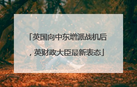 英国向中东增派战机后，英财政大臣最新表态