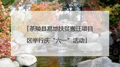茶陵县易地扶贫搬迁项目区举行庆“六一”活动
