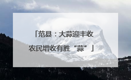 范县：大蒜迎丰收 农民增收有胜“蒜”