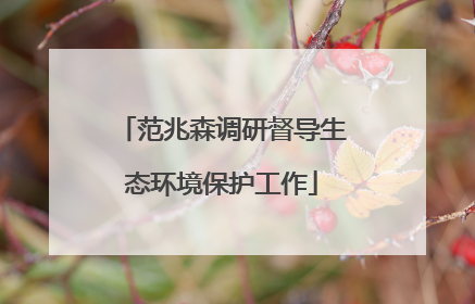 范兆森调研督导生态环境保护工作