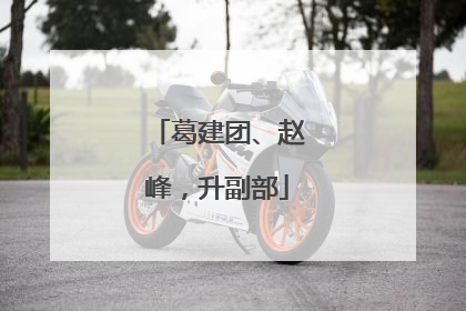葛建团、赵峰，升副部