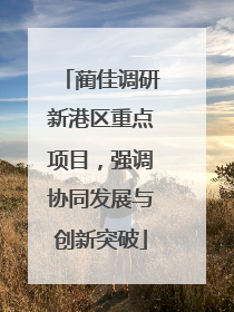 蔺佳调研新港区重点项目，强调协同发展与创新突破