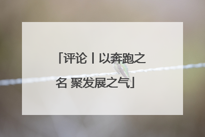 评论丨以奔跑之名 聚发展之气