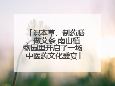 识本草、制药膳、做艾条 南山植物园里开启了一场中医药文化盛宴