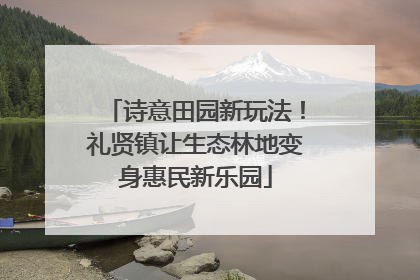 诗意田园新玩法！礼贤镇让生态林地变身惠民新乐园