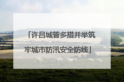 许昌城管多措并举筑牢城市防汛安全防线